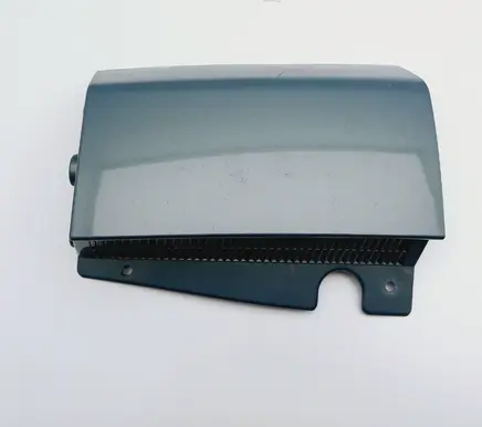 Rear/tail light trim molding