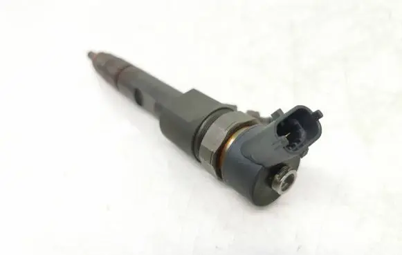 Suzuki Grand Vitara II Fuel injector 8200389369 0445110230