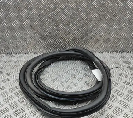 Cupra Born Rubber seal front coupe door 10A867911D