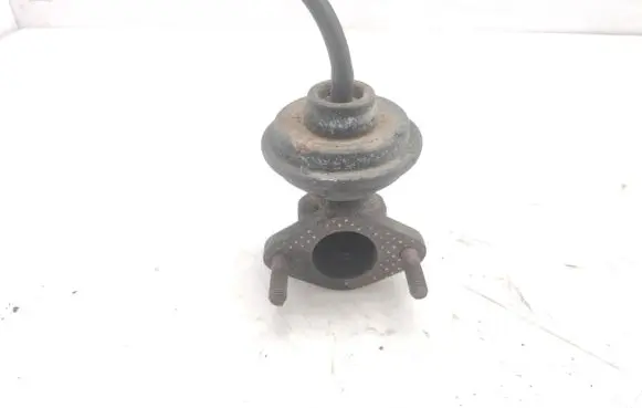 KIA Carnival EGR valve