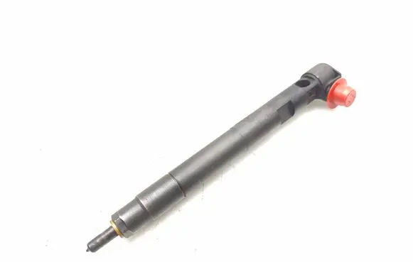 Opel Antara Fuel injector 28264951 25183186