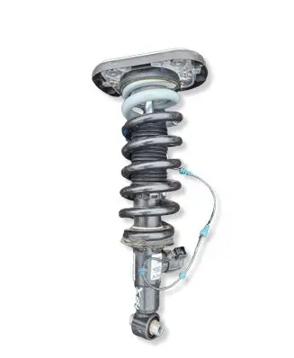 BMW XM Rear shock absorber/damper 16997810 5A3AE95