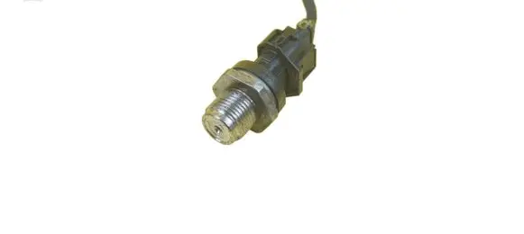 Hyundai i30 fastback Fuel pressure sensor 0281006404 D4FB