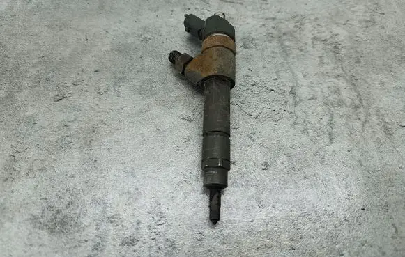 Peugeot Boxer Fuel injector 0445120002BOSCH