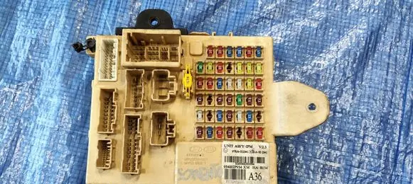 KIA Sorento Fuse box set 954002P934
