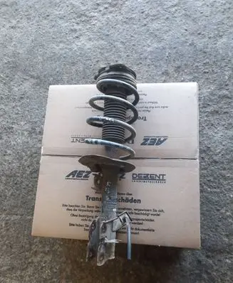 Nissan Qashqai Front shock absorber with coil spring 54302BR24A