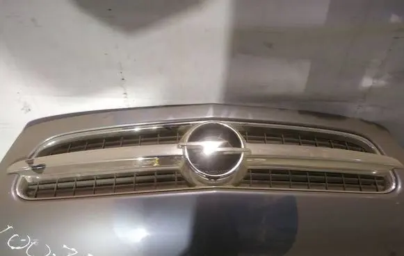 Opel Vectra C Front grill