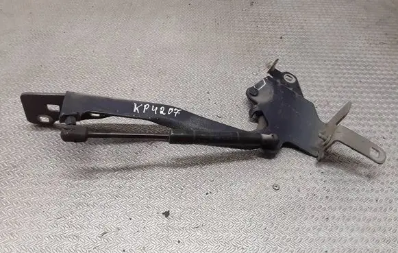 Renault Scenic III - Grand scenic III Engine bonnet/hood hinges 654010004R