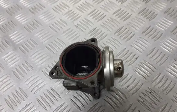 Skoda Fabia Mk2 (5J) EGR valve 038131501AN