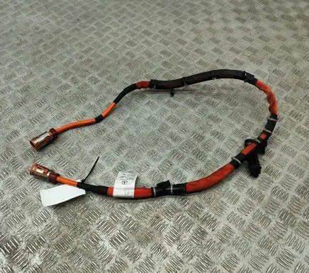 Other wiring loom
