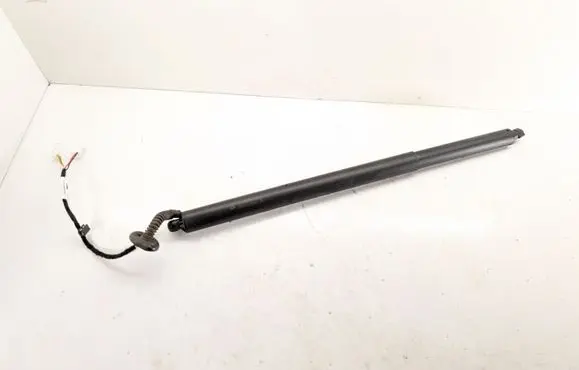 Tailgate strut