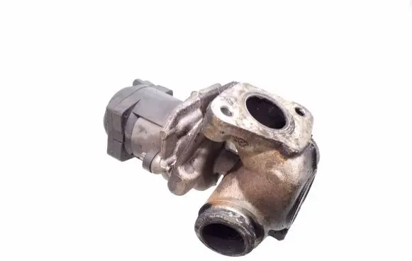 EGR valve