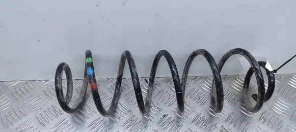 Rear coil spring
