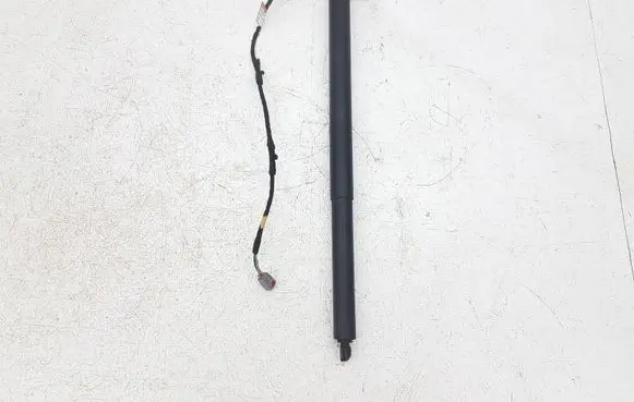 Ford Escape IV Tailgate/trunk strut/damper LJ6BS402A55 LJ6BS402A55AC R9CRC