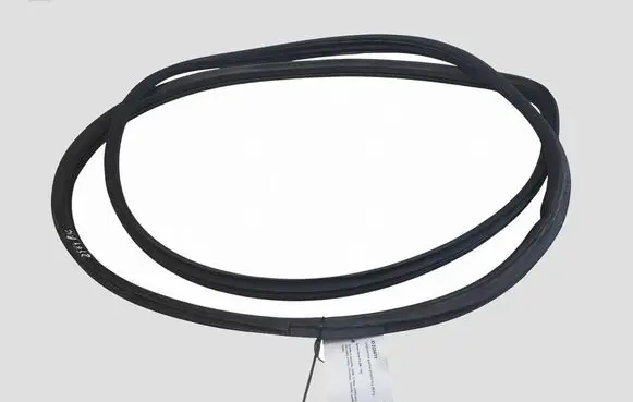 Hyundai Santa Fe Front door rubber seal