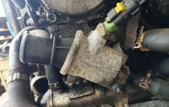 Opel Zafira B Engine coolant pipe/hose