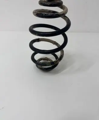 Rear coil spring