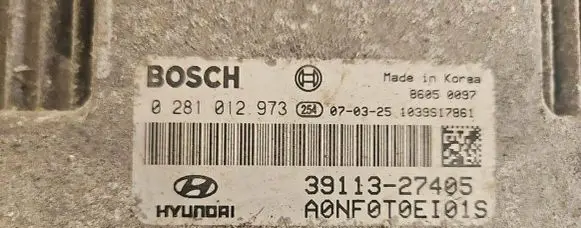 Hyundai Sonata Engine control unit/module 3911327405 0281012973 1039S17861