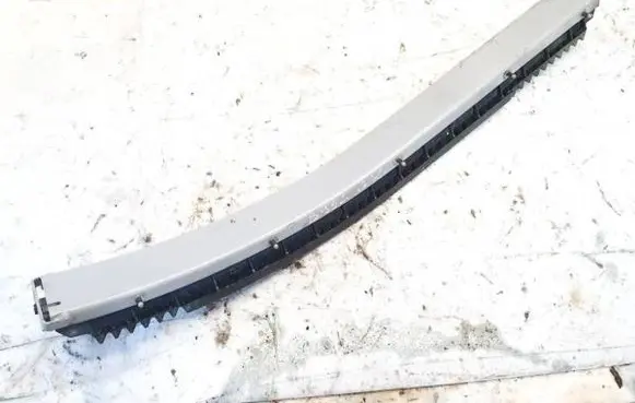 Chrysler Voyager Sliding door trim 