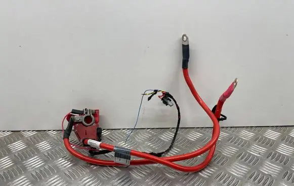 BMW 1 F20 F21 Positive cable (battery) 9253111 9230017