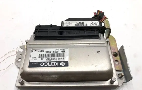 Hyundai Getz Engine control unit/module ECU 39110-02450