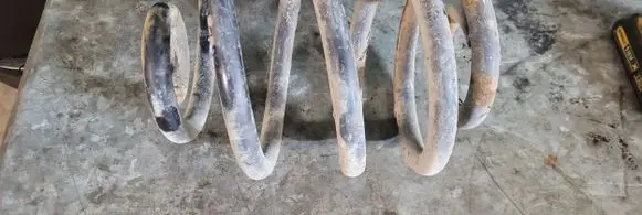 Volkswagen Sharan Rear coil spring
