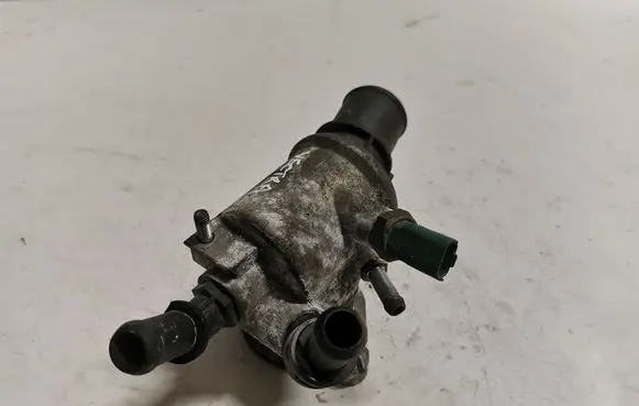 Thermostat/thermostat housing