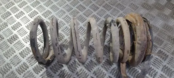 KIA Carnival Rear coil spring