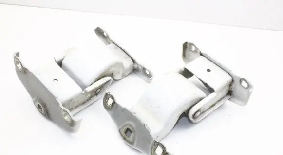 Renault Trafic III (X82) Rear door hinge set 844009592R