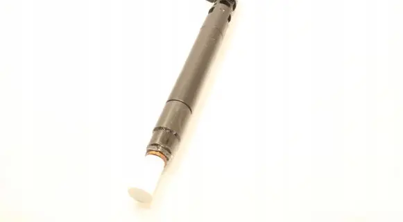 Citroen DS5 Fuel injector 9686191080