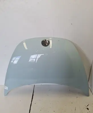 Volkswagen New Beetle Engine bonnet/hood