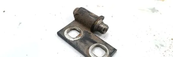 Front door upper hinge