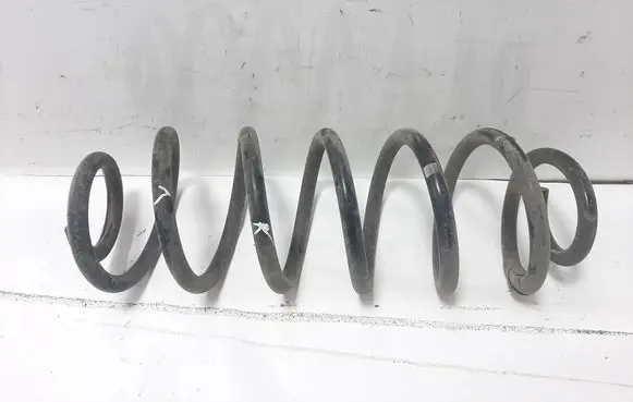 Volkswagen Golf VI Rear coil spring 