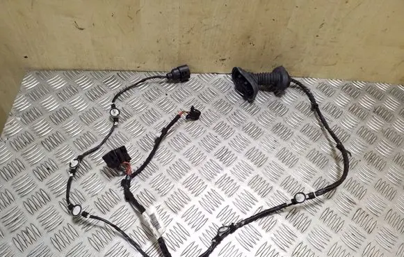 Seat Exeo (3R) Rear door wiring loom 3R0971687