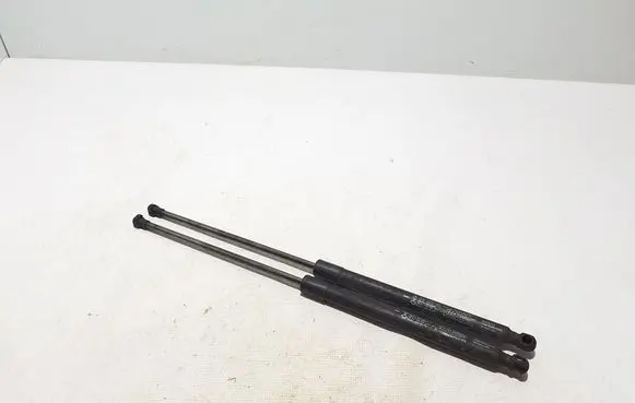 Renault Arkana Tailgate strut 904520237R