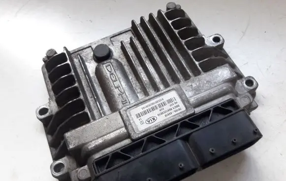 KIA Carnival Engine control unit/module 391044X910