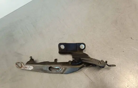 Volvo XC60 Engine bonnet/hood hinges 31385815 298KVD3E