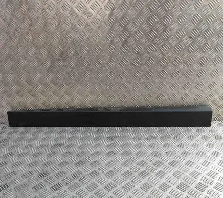 Front door trim (molding)