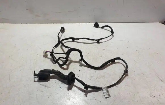 Hyundai Kona I Rear door wiring loom 91620J9010