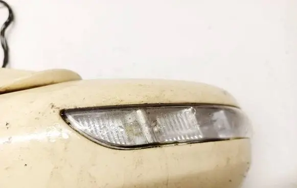 Mercedes-Benz E W211 Mirror indicator light E1011312