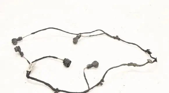 Volkswagen PASSAT B8 Other wiring loom 3G9971104