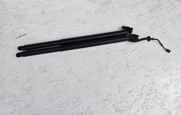 KIA Pro Cee'd III Tailgate strut 81841J7710