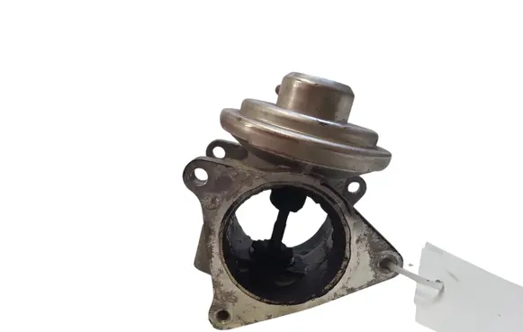 Volkswagen Golf V EGR valve 038129637D
