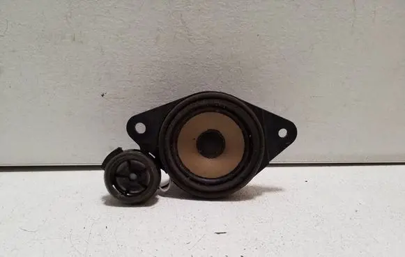 Panel speaker