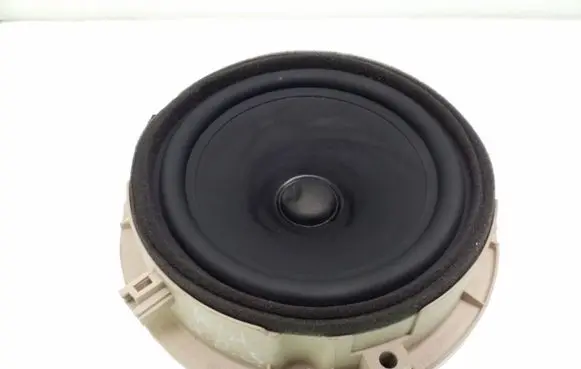 Rear door speaker
