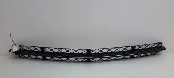 Front bumper lower grill