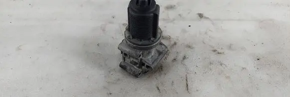 Opel Signum EGR valve 55215031