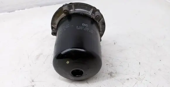 Dacia Dokker Fuel filter A6070900952 164007343R