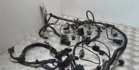 Chrysler Grand Voyager V Other wiring loom 04868759AG P04868759AG