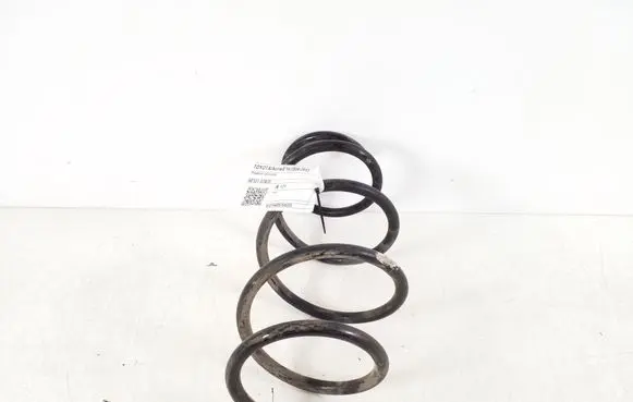 Front coil spring
